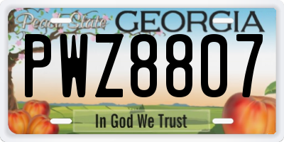 GA license plate PWZ8807
