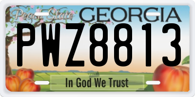 GA license plate PWZ8813