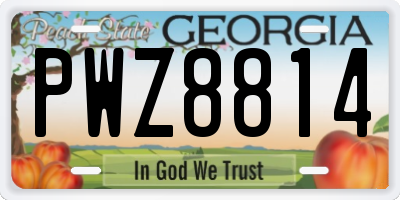 GA license plate PWZ8814