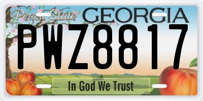 GA license plate PWZ8817