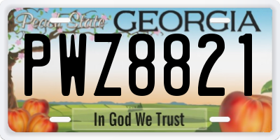 GA license plate PWZ8821