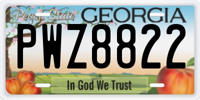 GA license plate PWZ8822