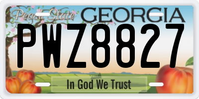 GA license plate PWZ8827