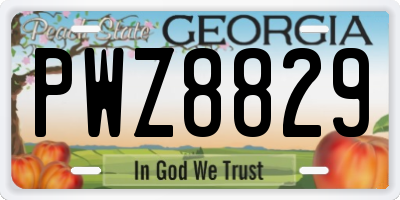 GA license plate PWZ8829