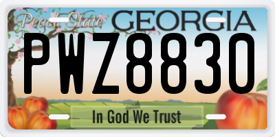 GA license plate PWZ8830