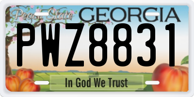 GA license plate PWZ8831