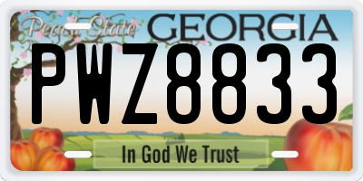 GA license plate PWZ8833