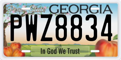 GA license plate PWZ8834
