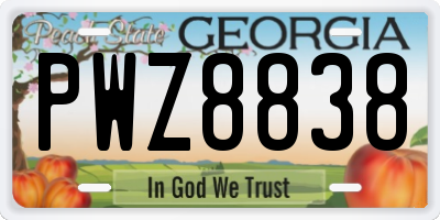 GA license plate PWZ8838