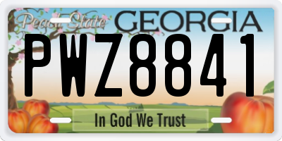 GA license plate PWZ8841