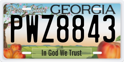GA license plate PWZ8843
