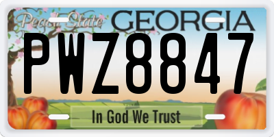 GA license plate PWZ8847