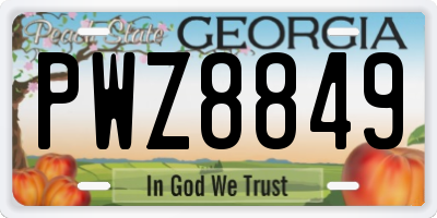 GA license plate PWZ8849