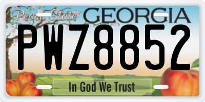 GA license plate PWZ8852