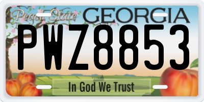 GA license plate PWZ8853