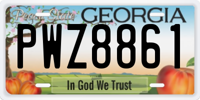 GA license plate PWZ8861