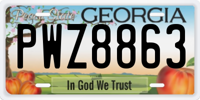 GA license plate PWZ8863