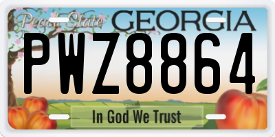 GA license plate PWZ8864