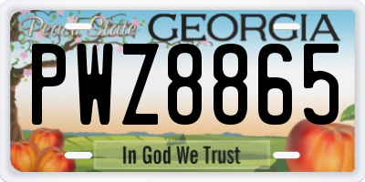 GA license plate PWZ8865