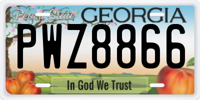 GA license plate PWZ8866
