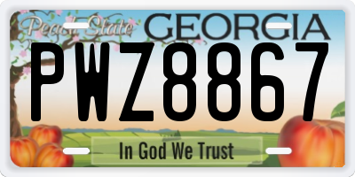GA license plate PWZ8867