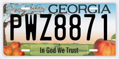 GA license plate PWZ8871