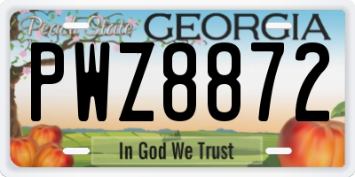 GA license plate PWZ8872