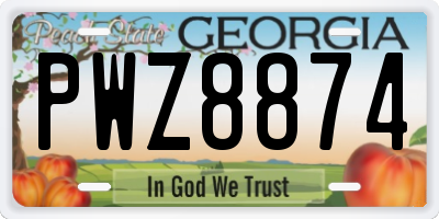 GA license plate PWZ8874