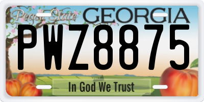 GA license plate PWZ8875