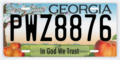 GA license plate PWZ8876