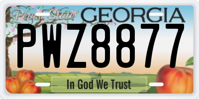 GA license plate PWZ8877