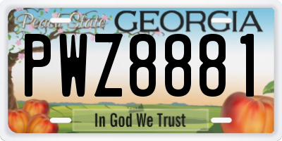 GA license plate PWZ8881