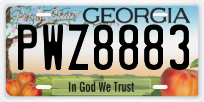 GA license plate PWZ8883