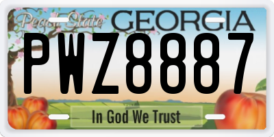 GA license plate PWZ8887