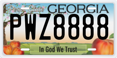 GA license plate PWZ8888