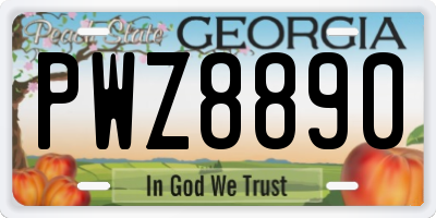 GA license plate PWZ8890