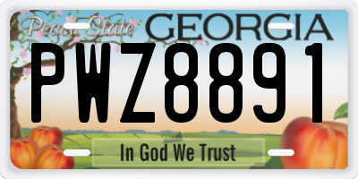 GA license plate PWZ8891