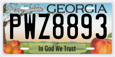 GA license plate PWZ8893