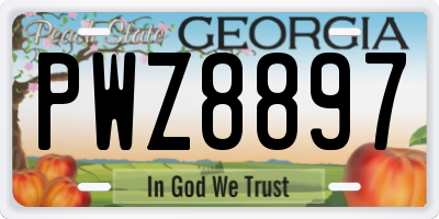 GA license plate PWZ8897