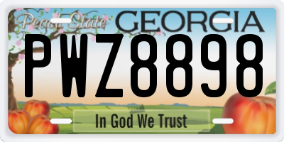 GA license plate PWZ8898