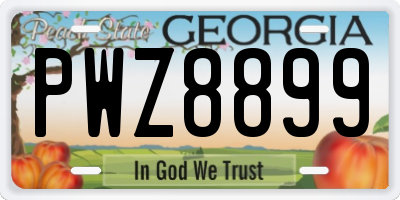 GA license plate PWZ8899