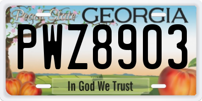GA license plate PWZ8903
