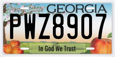 GA license plate PWZ8907
