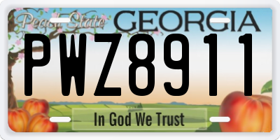 GA license plate PWZ8911