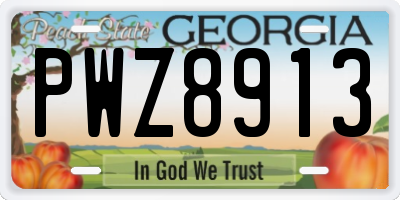 GA license plate PWZ8913