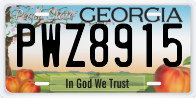 GA license plate PWZ8915