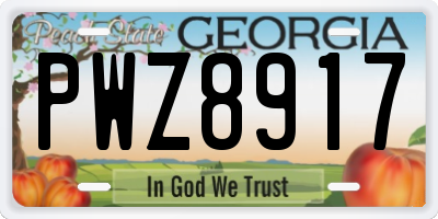 GA license plate PWZ8917