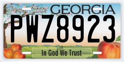 GA license plate PWZ8923