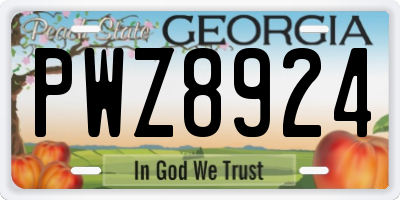 GA license plate PWZ8924