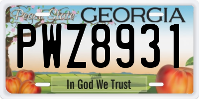 GA license plate PWZ8931